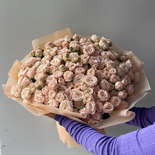 Букет из 51 кустовой розы бомбастик (кремовая)