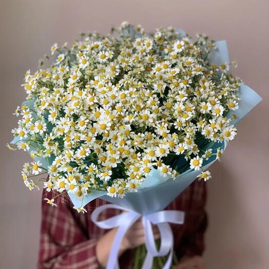 Букет из 19 кустовых ромашек