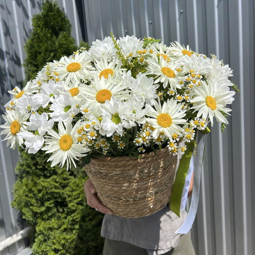 Корзина ромашек 💐