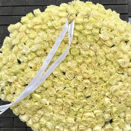 351 ЭКВАДОРСКАЯ РОЗА