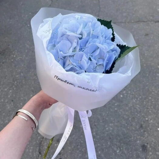Голубая гортензия  "Снова в школу"