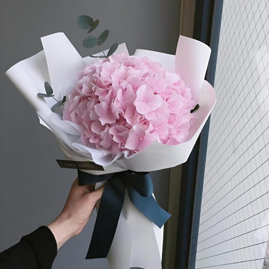 Hydrangea Pink 🩷
