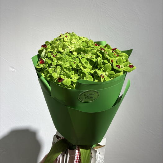 Зеленая гортензия со стразами 🍀