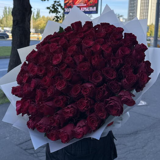 Крупная бордовая Роза 101