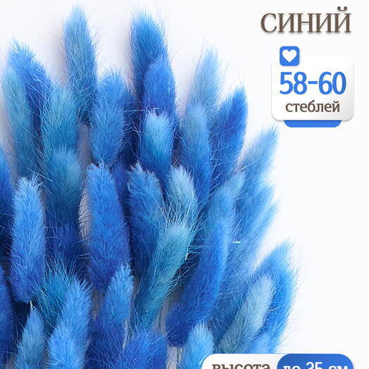 Лагурус синий 60 шт. Высший сорт. Высота 25-35 см М236