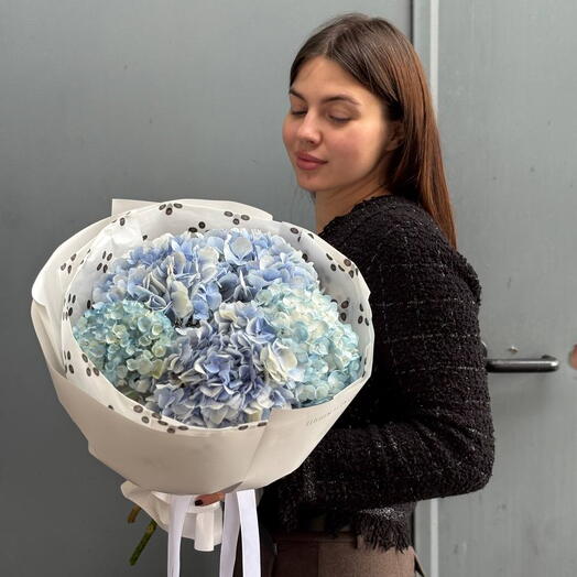 Букет из 5 голландской гортензии