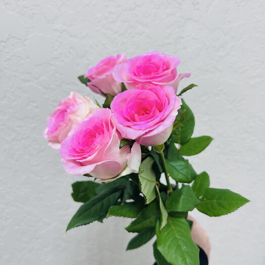 Букет из розовых роз