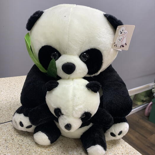 Панда с малышом 🐼