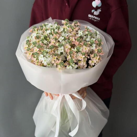 Букет из кустовой матиоллы