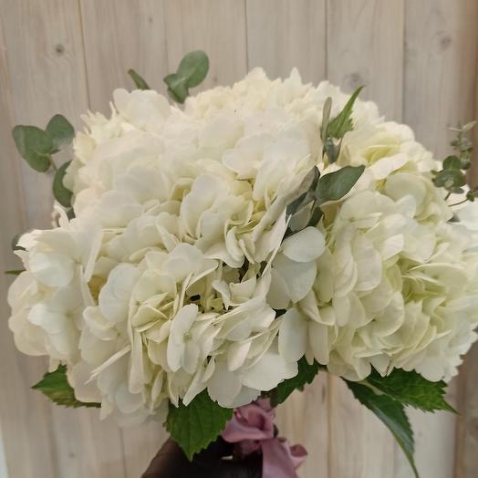 Bouquet of white hydrangeas