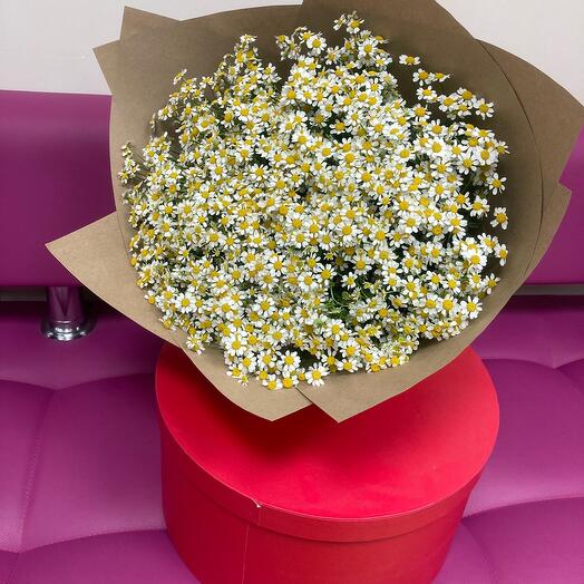 25 ромашек🌸🌸🌸