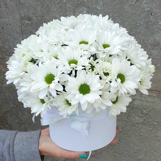 Ромашкове диво