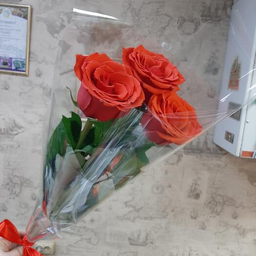 Three bright red roses in a transparent film with a ribbon