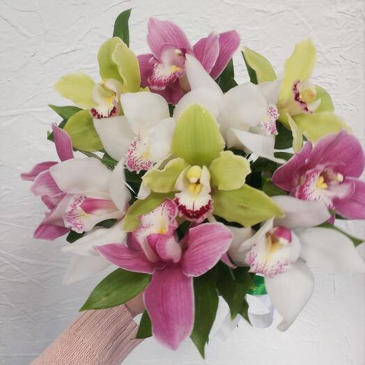 Orchid Cymbidium