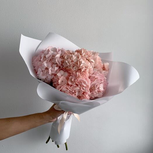 Hortensias En Polvo
