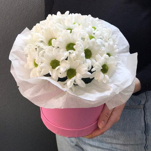 Daisies😍