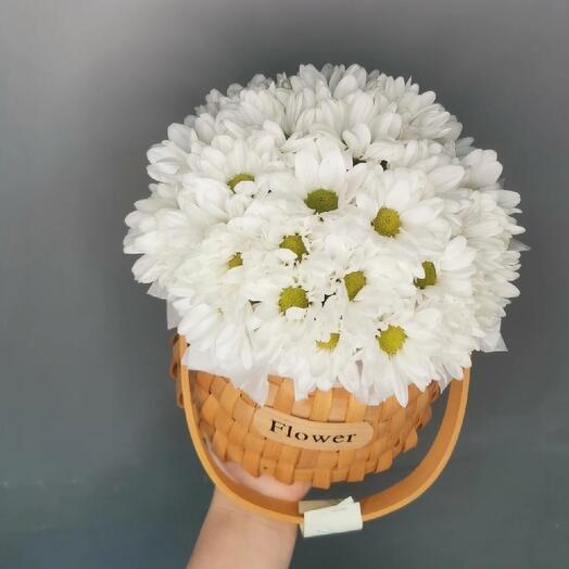 Хризантема в корзине