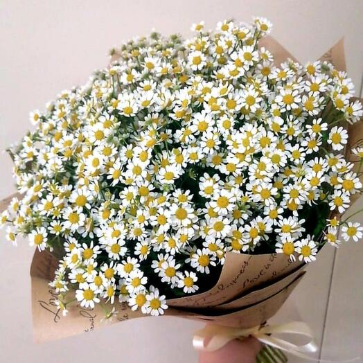 Bouquet of daisies