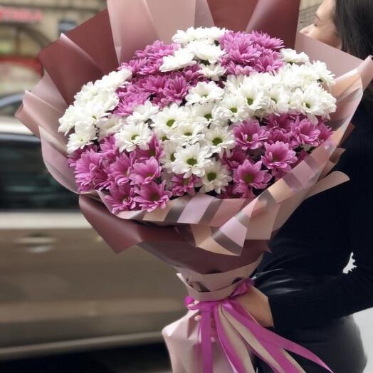21 chrysanthemum