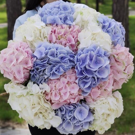 Фонтан цвета