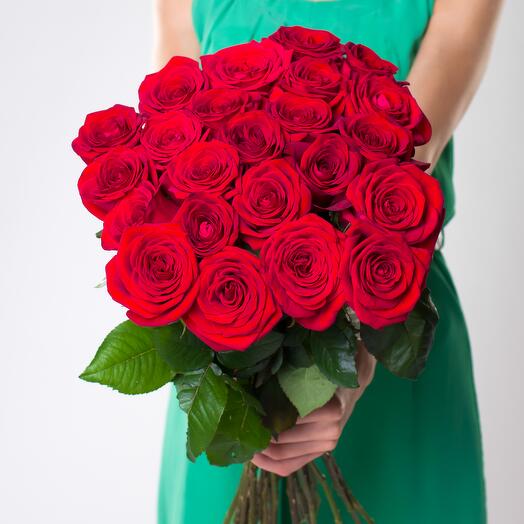 Розы Эквадор 50 см + 🎁 лепестки