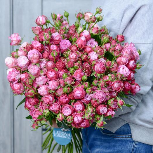 Леди Бомбастик