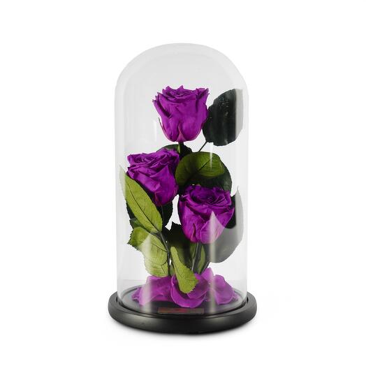Merlot Preserved Roses in Glass Dome Trio
