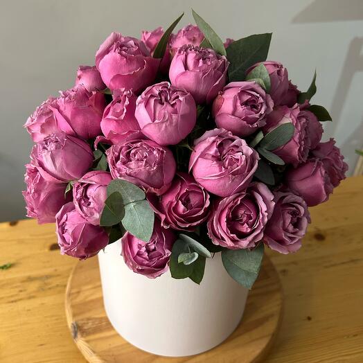Peony