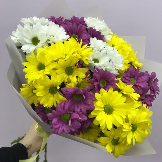 9 colorful chrysanthemums
