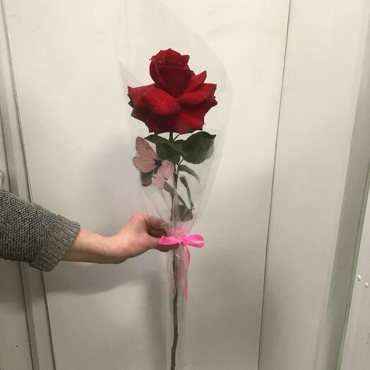 Rose red 100 cm