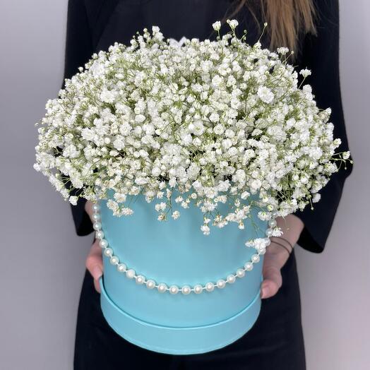 Gypsophila blanca en Caja🤍