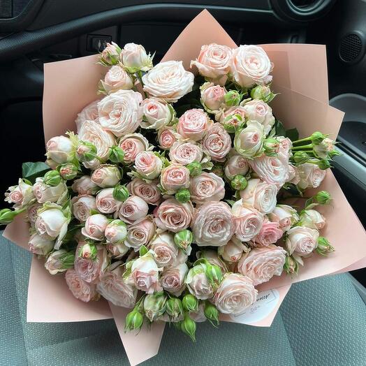 Pink beauty💗