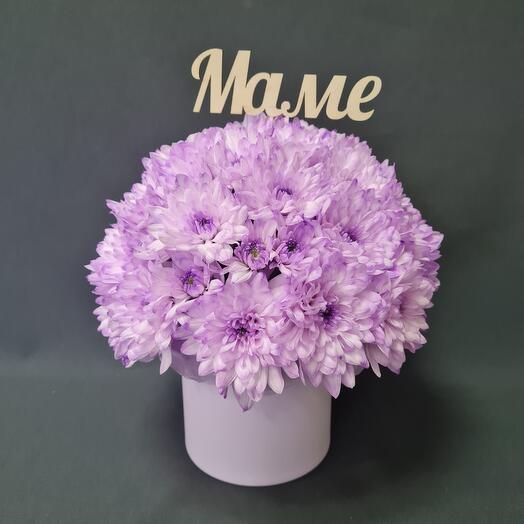Chrysanthemums for mom in a hatbox