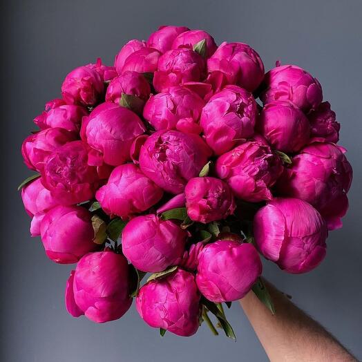 Raspberry peonies