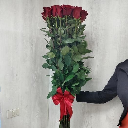 Роза Эквадор 120см