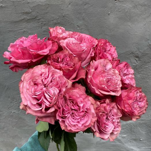 Роза Кантри Блюз