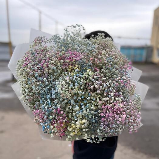 Bouquet of Gypsophila