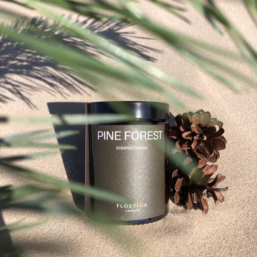 Pine Forest Candle