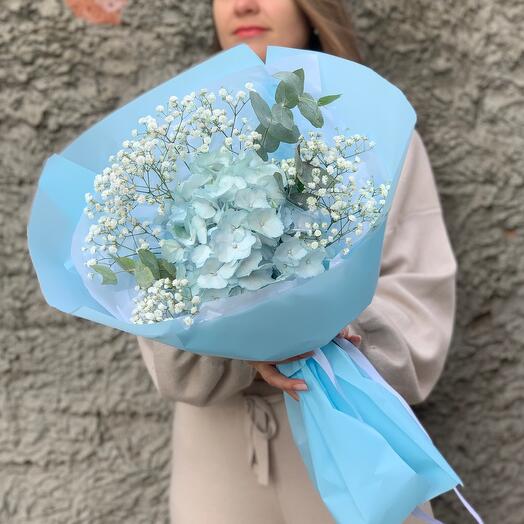 Blue Hydrangea