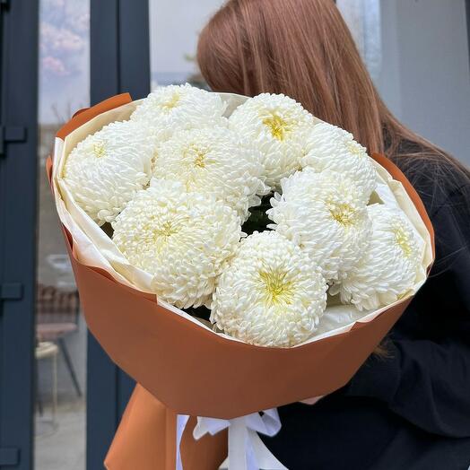 Хризантемы