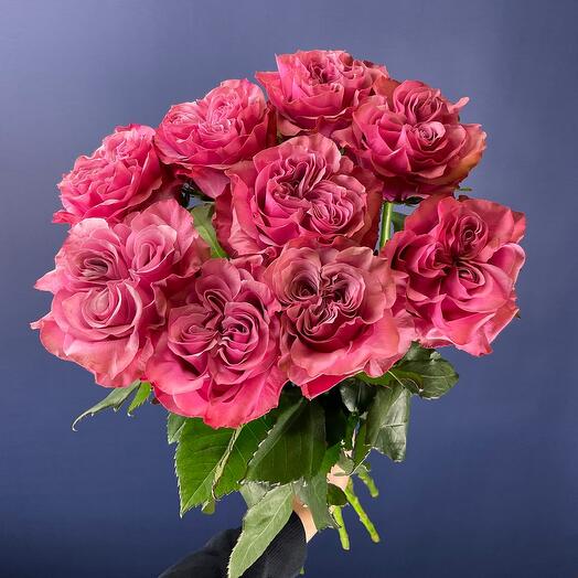 Peony-shaped country blues roses (9)