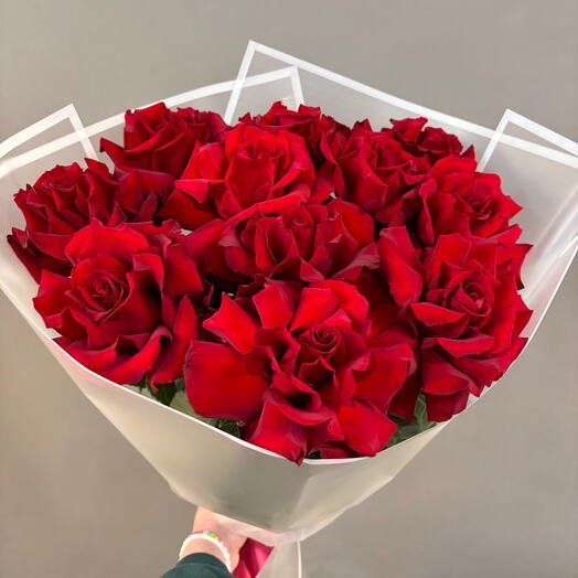 Розы Софи Лорен Французские розы