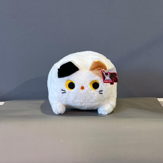 Квадратный кот