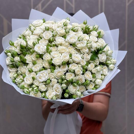 Rosas de arbusto elegantes blancas