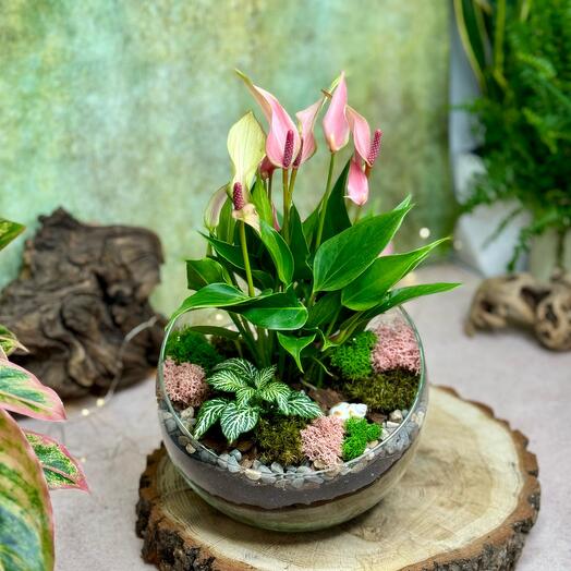 Hemisphere with Anthurium L - 273