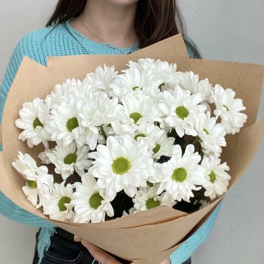 Хризантемы