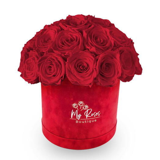 Red Velvet Box With 36 Red Roses