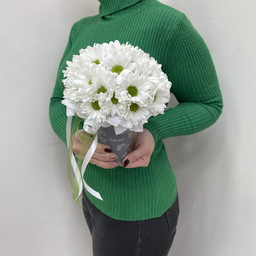 Baby daisy Bouquet de margaritas de arbusto blanco