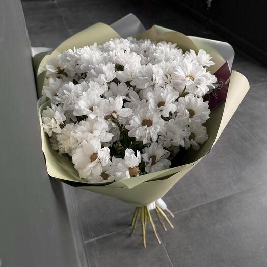 Ramo de crisantemo arbusto - "Fragrant Chrysantemum"