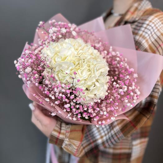 Гортензия и гипсофила